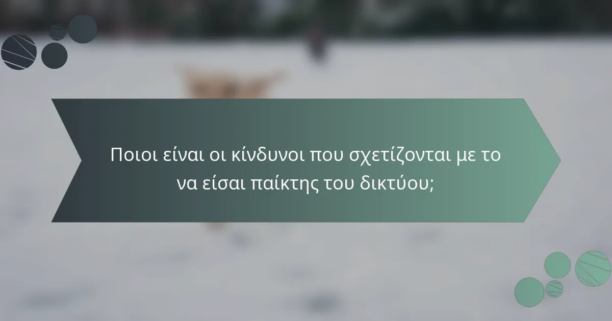 Ποιοι είναι οι κίνδυνοι που σχετίζονται με το να είσαι παίκτης του δικτύου;
